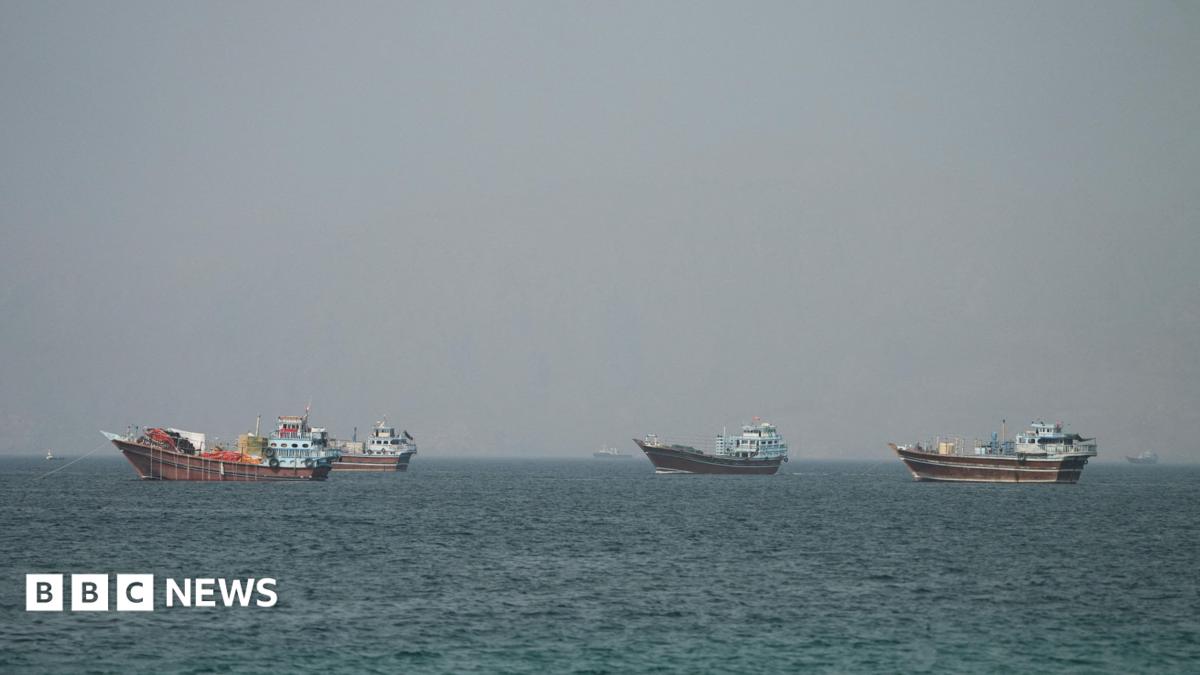 IMO Halts Strait of Hormuz Evacuation After Vessel Incident