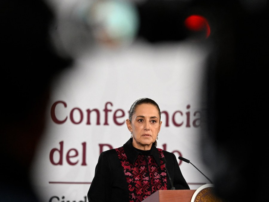 Mexico Pursues Legal Action Over Deaths in US Immigration Custody