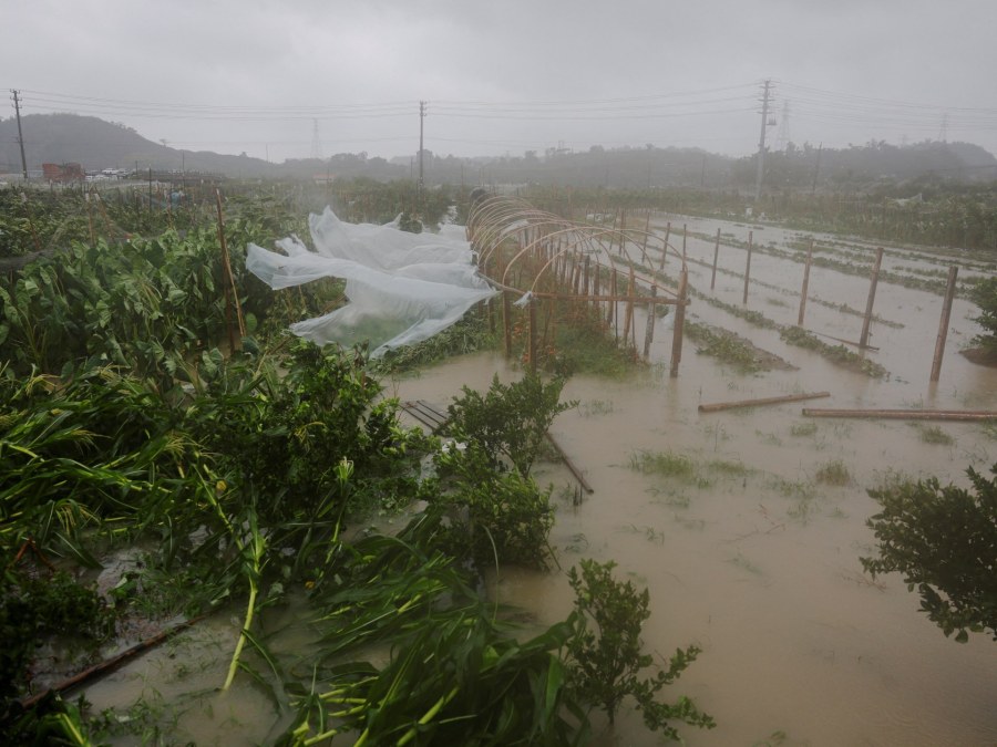Tropical Storm Bavi Disrupts Eastern China