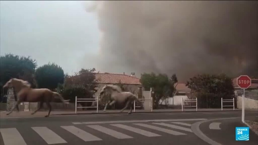 Wildfires Force Massive Evacuation in Southwest France