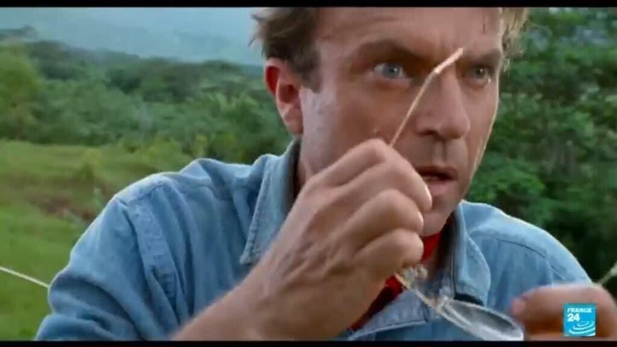Renowned Actor Sam Neill Passes at 78