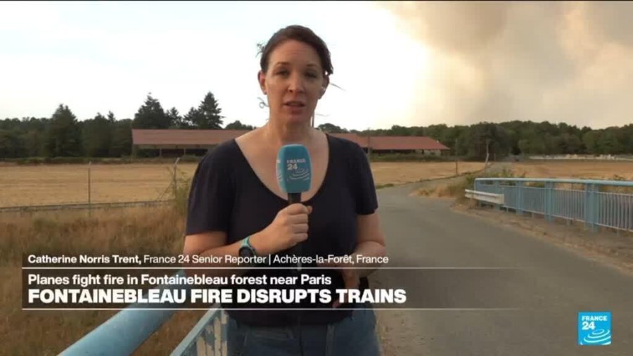 Arrests Made in Fontainebleau Forest Fire Incident