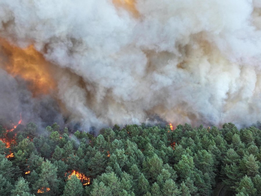 Fontainebleau Wildfires Disrupt Transport Near Paris