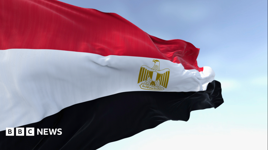 Egypt Uncovers Fraud Plot Involving Fake Judges