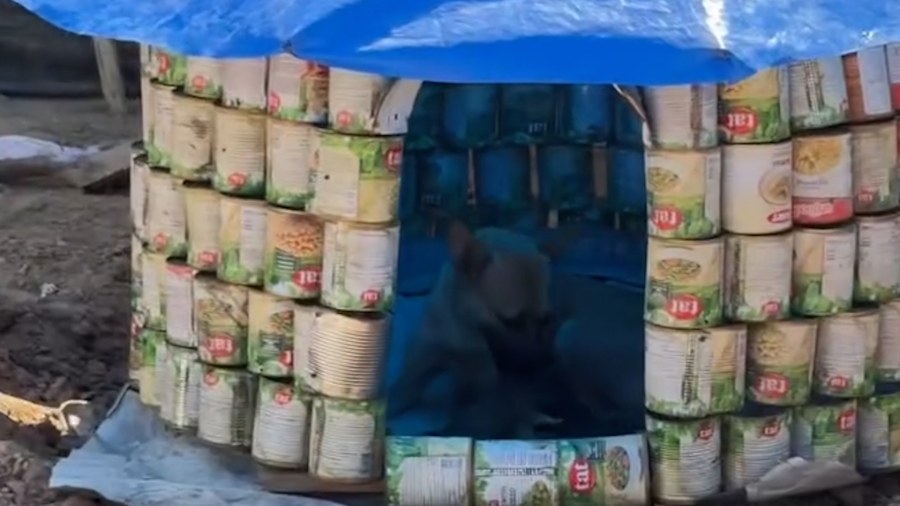 Gazan Engineer Innovates Animal Shelters Using Recycled Materials