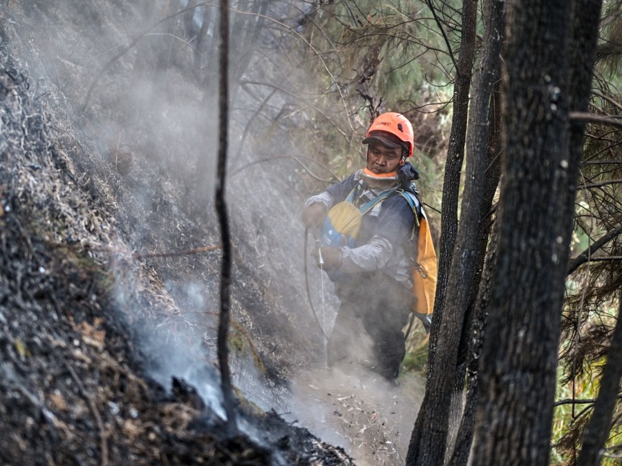 Indonesia Grapples with Intensified Wildfires Due to El Nino