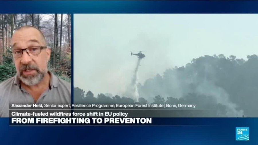 Wildfire prevention requires 'nature-based solutions': Land 'treating us' the way we treat the land