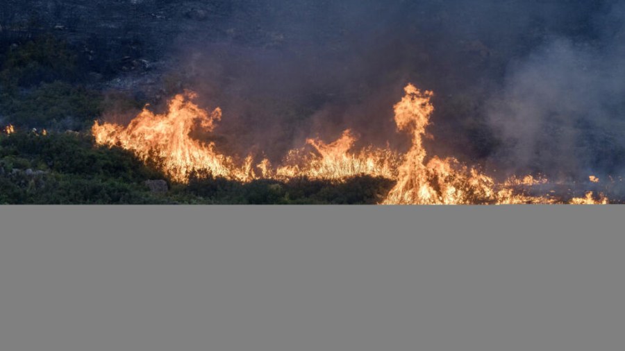 Western Europe Faces Record-Breaking Summer Temperatures
