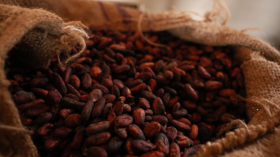 Ghana Enacts Severe Penalties for Unapproved Farm Conversion