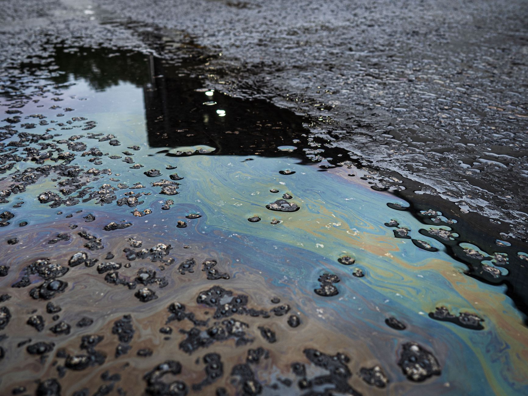Potential Oil Market Shifts as UAE Exits OPEC: A Russian Perspective